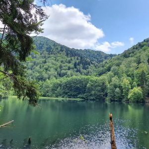 Hidden gems of Dzama valley